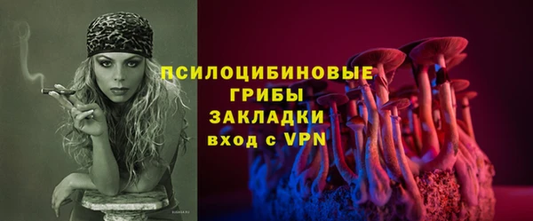 ГАЛЛЮЦИНОГЕННЫЕ ГРИБЫ Няндома