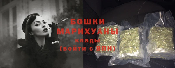 ГАЛЛЮЦИНОГЕННЫЕ ГРИБЫ Няндома
