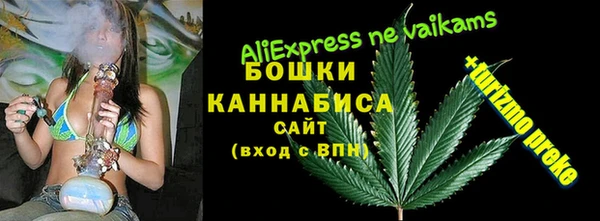 индика Остров