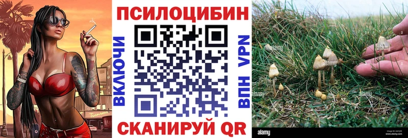 Псилоцибиновые грибы Psilocybine cubensis  Саров 