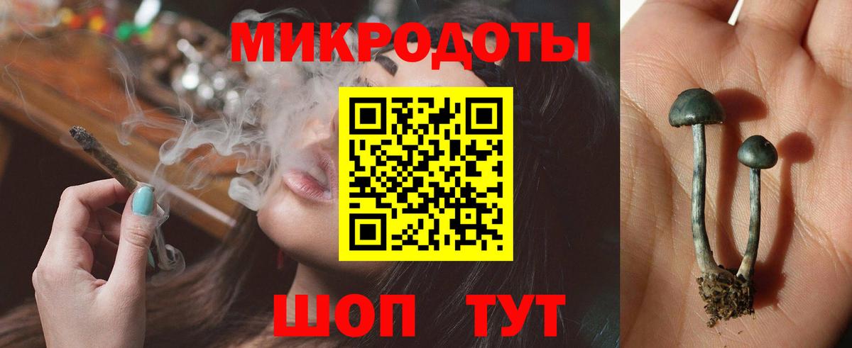 Саров  Псилоцибиновые грибы Psilocybe  Вход с VPN  Галлюциногенные грибы Cubensis 
